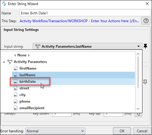 birthDate enter string
